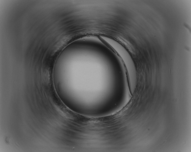 X0000091340158200708241231