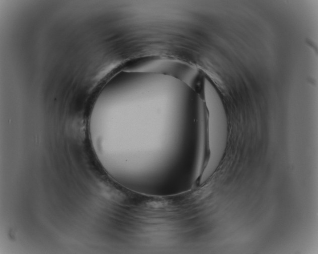 X0000091340160200708241231