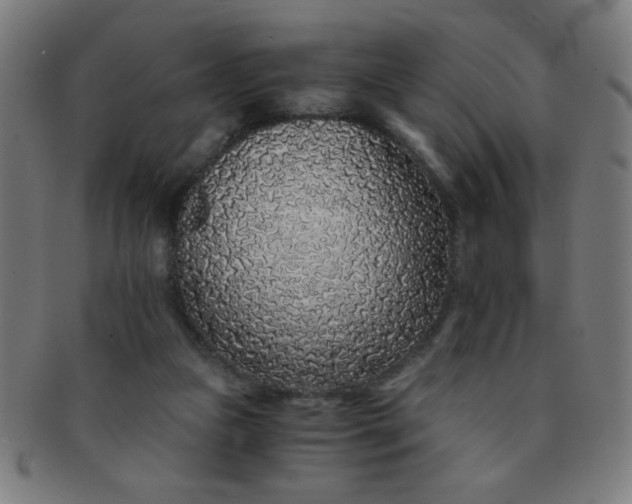 X0000091340161200708241231