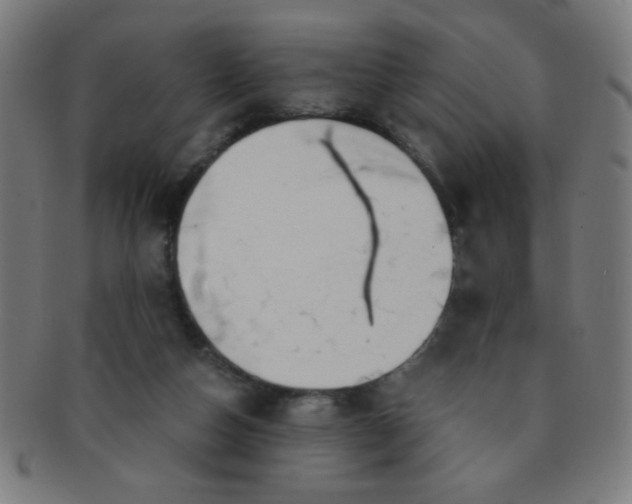 X0000091340162200708241231