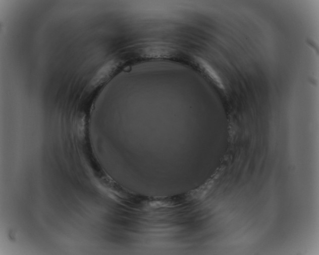 X0000091340163200708241231