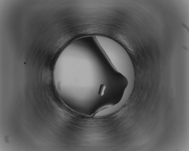 X0000091340164200708241231