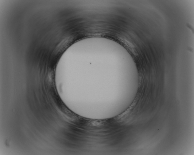 X0000091340166200708241231