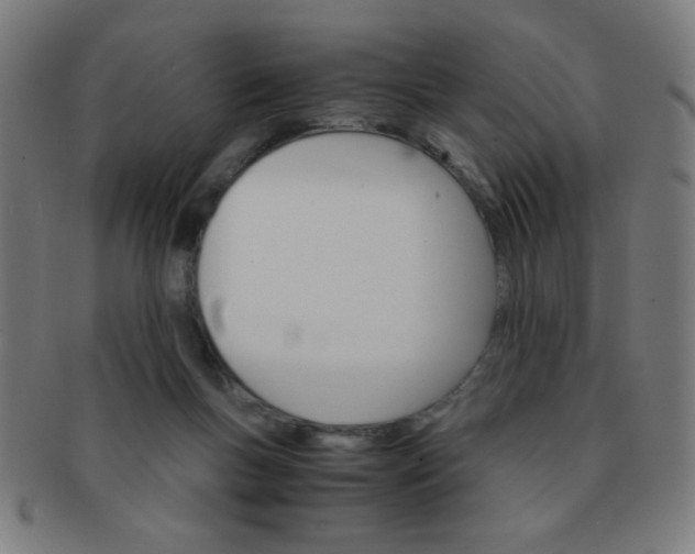 X0000091340167200708241231