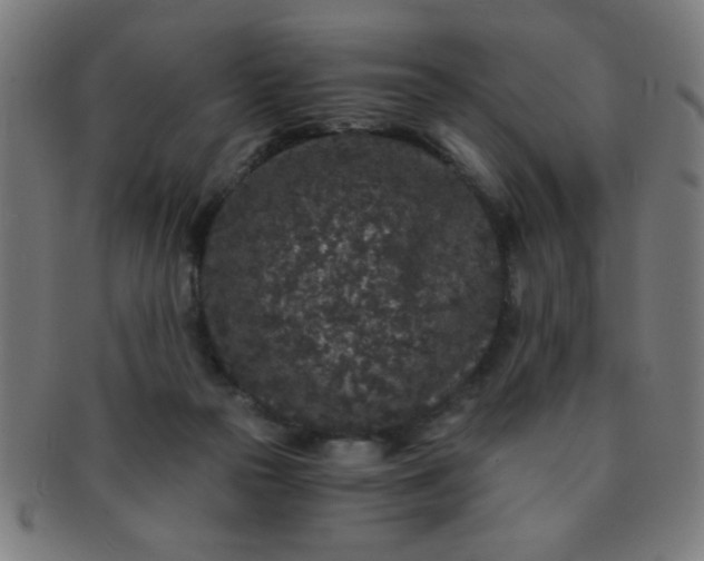 X0000091340169200708241231