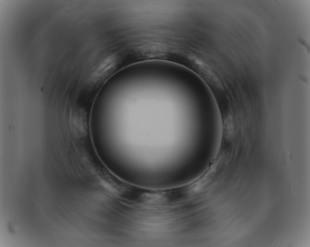 X0000091340170200708241231