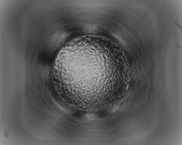 X0000091340171200708241231