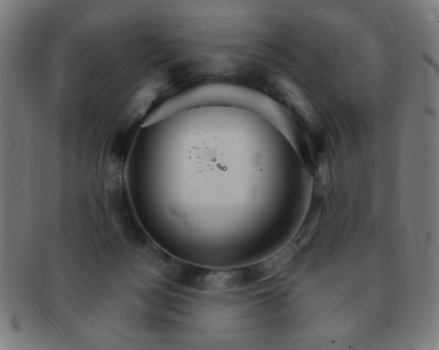 X0000091340172200708241231