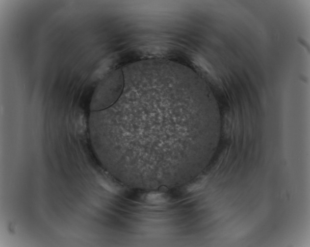 X0000091340173200708241231