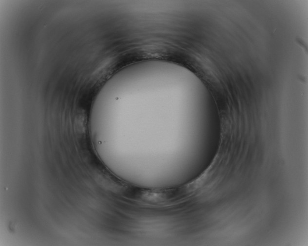 X0000091340174200708241231