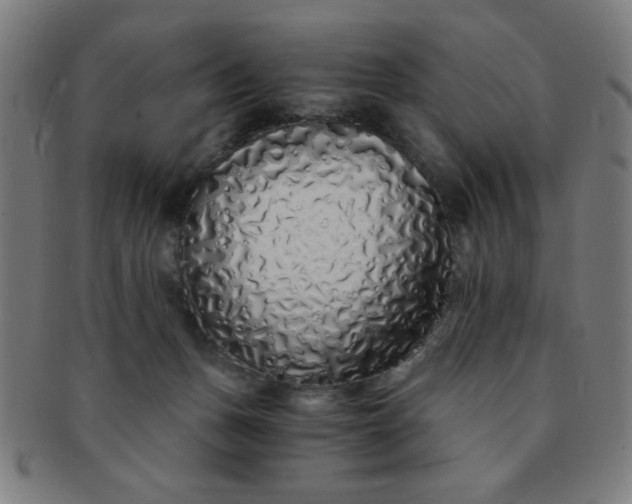 X0000091340175200708241231