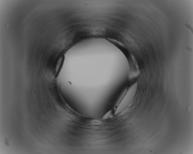 X0000091340176200708241231