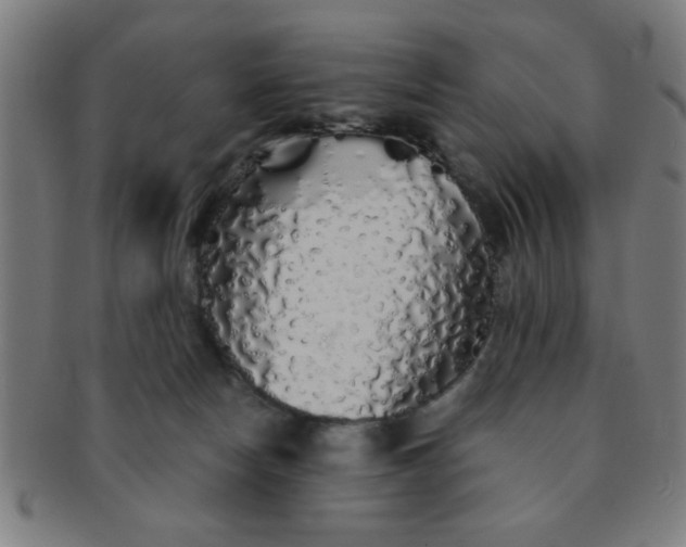 X0000091340178200708241231