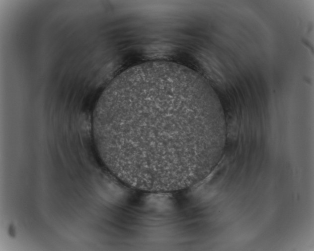 X0000091340179200708241231