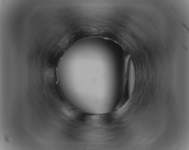 X0000091340184200708241231