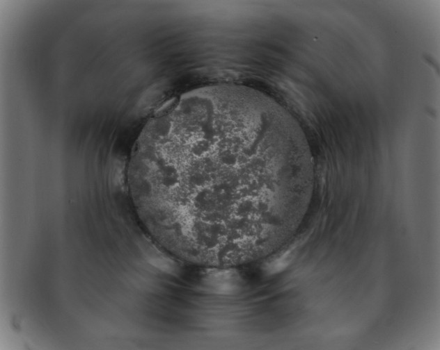 X0000091340185200708241231