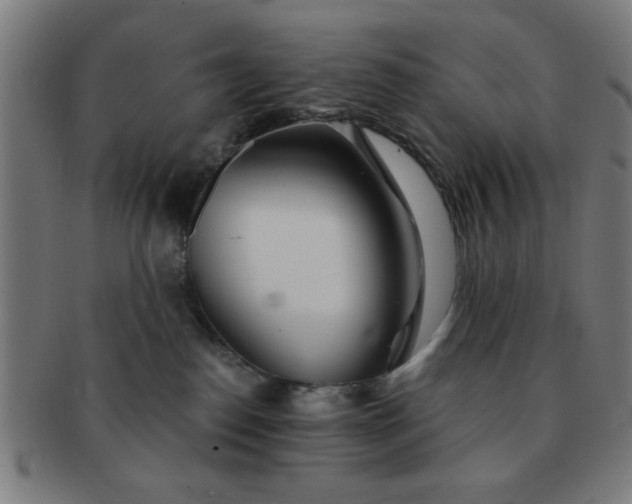 X0000091340186200708241231