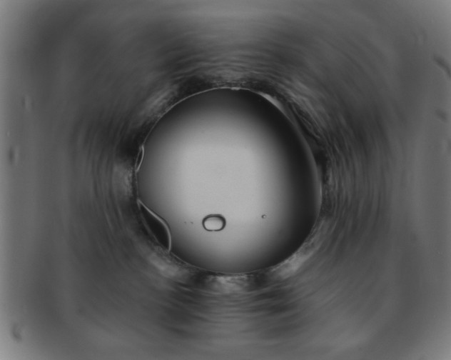 X0000091340188200708241231