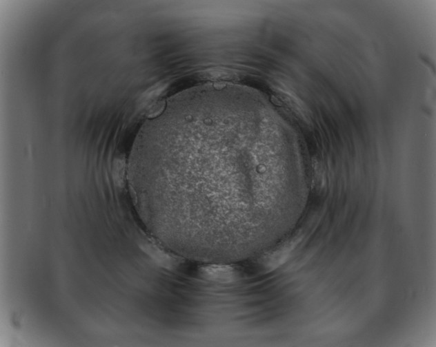 X0000091340189200708241231