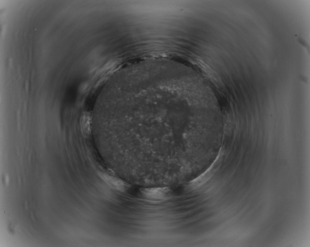 X0000091340191200708241231