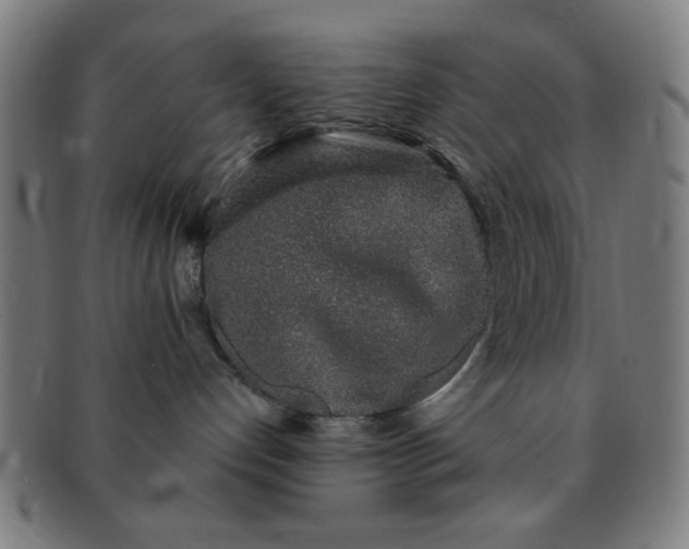 X0000091340192200708241231