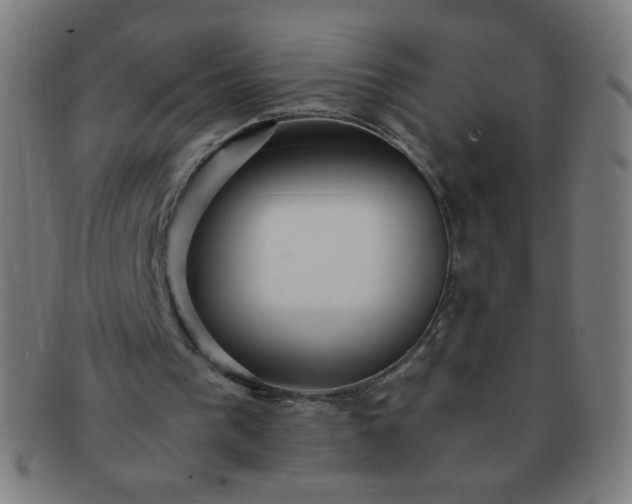 X0000091340193200708241231