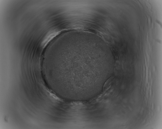 X0000091340194200708241231