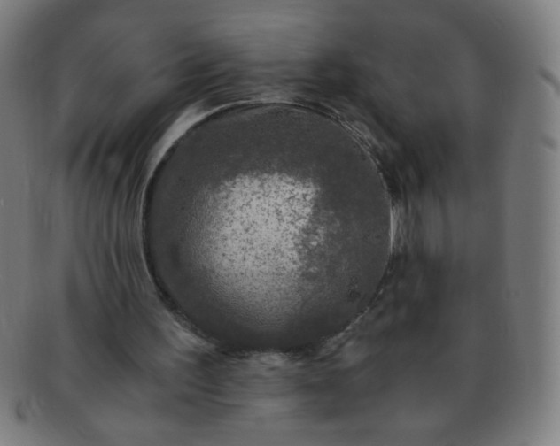 X0000091340195200708241231