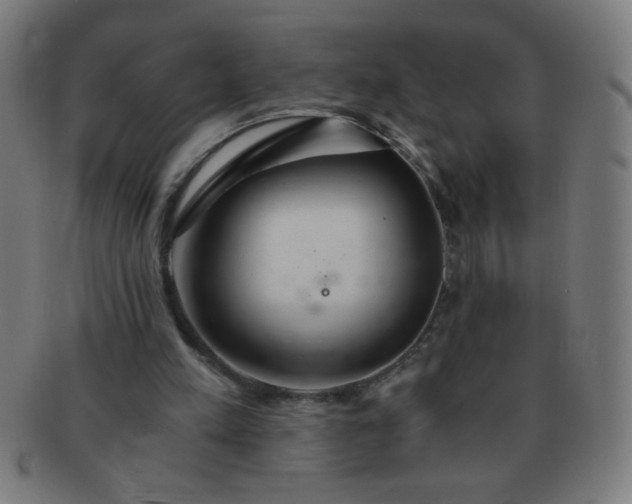 X0000091340197200708241231