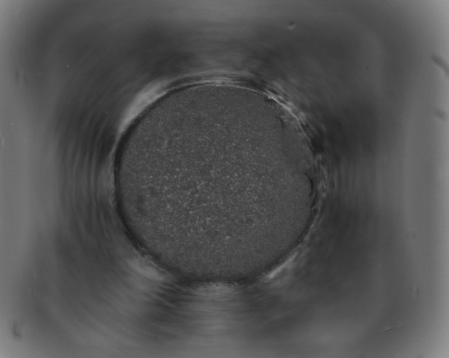 X0000091340198200708241231