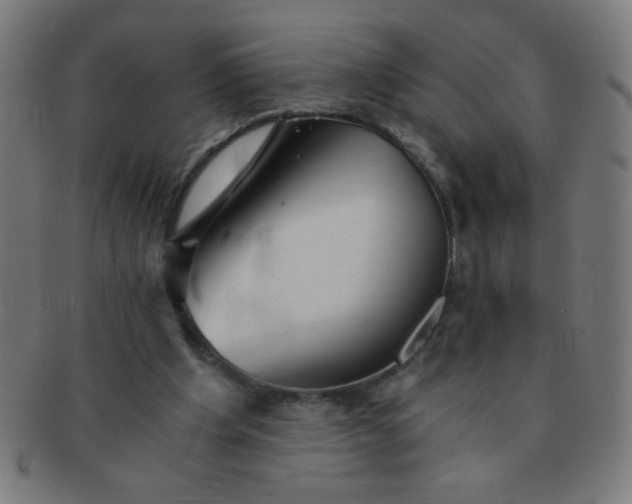 X0000091340201200708241231