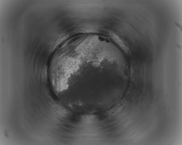 X0000091340202200708241231