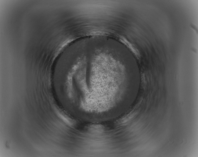 X0000091340203200708241230