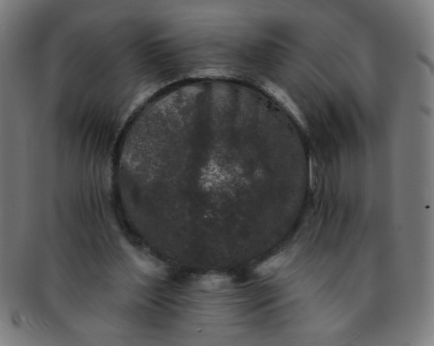 X0000091340204200708241230