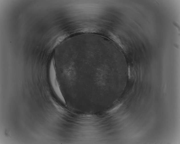 X0000091340205200708241230