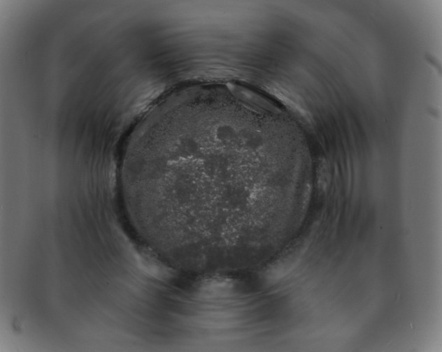 X0000091340206200708241230