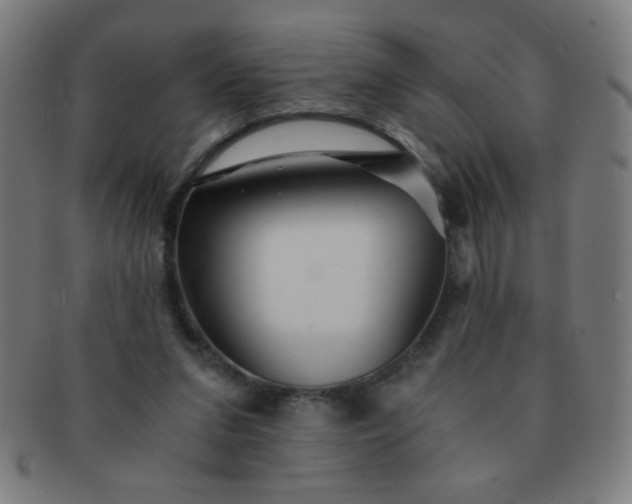 X0000091340207200708241230