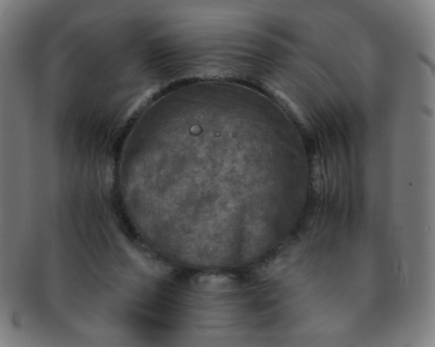 X0000091340208200708241230