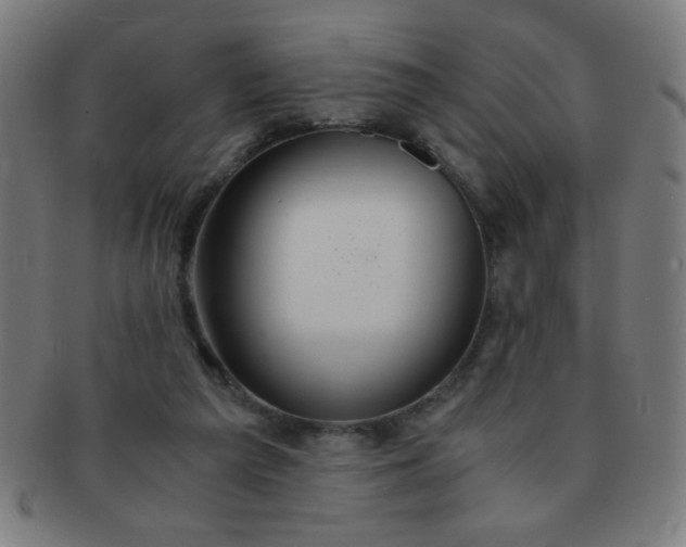 X0000091340209200708241230