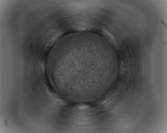 X0000091340210200708241230