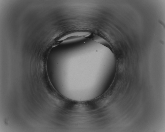 X0000091340211200708241230