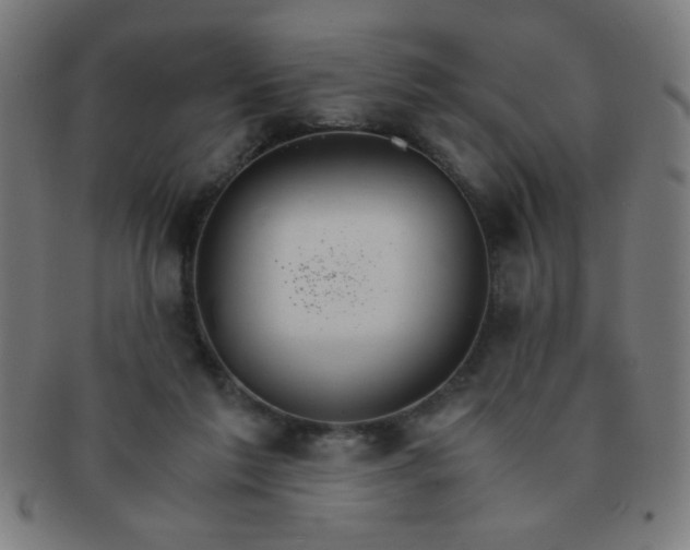 X0000091340213200708241230