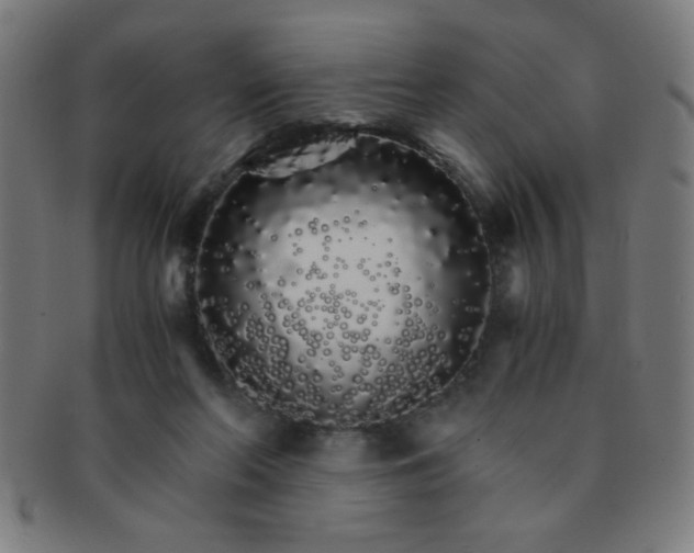 X0000091340214200708241230