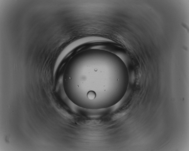 X0000091340215200708241230