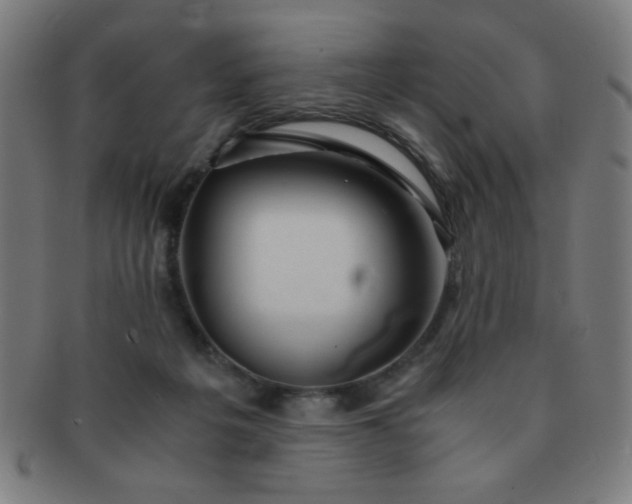 X0000091340217200708241230