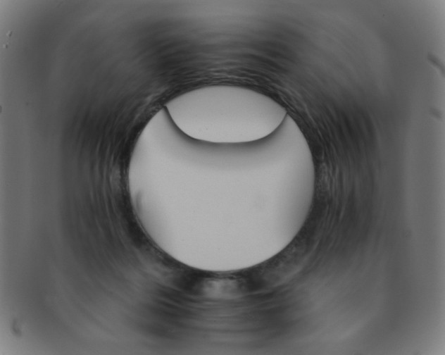 X0000091340220200708241230