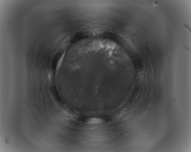 X0000091340222200708241230