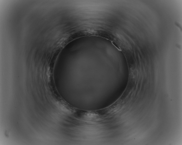 X0000091340223200708241230