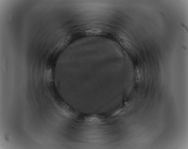 X0000091340224200708241230