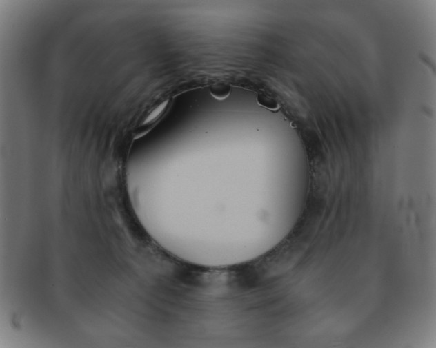 X0000091340225200708241230